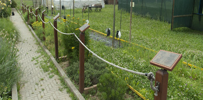 Questa foto mostra il nostro percorso sensoriale dentro il giardino del parco Tonolli.